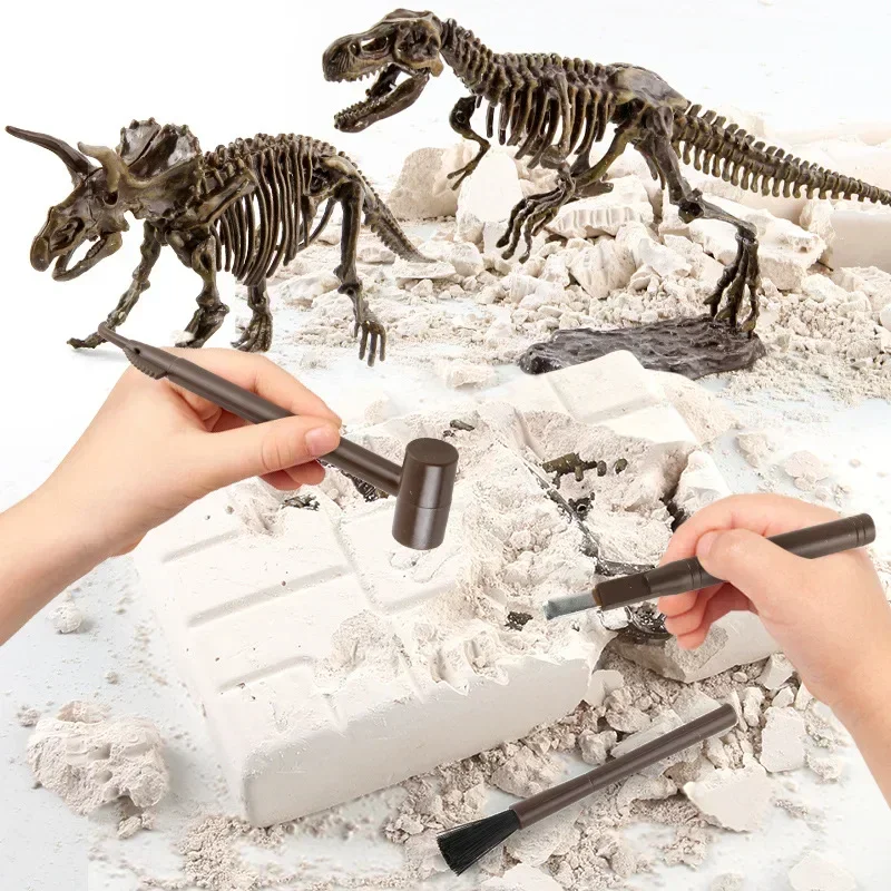 Model Kit Dinosaur - Dinozor Kazı Fosil Arkeolojisi Bilimsel ve