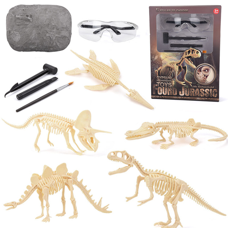 Model Kit Dinosaur - Dinozor Fosili Kazı Seti STEM Dinozor