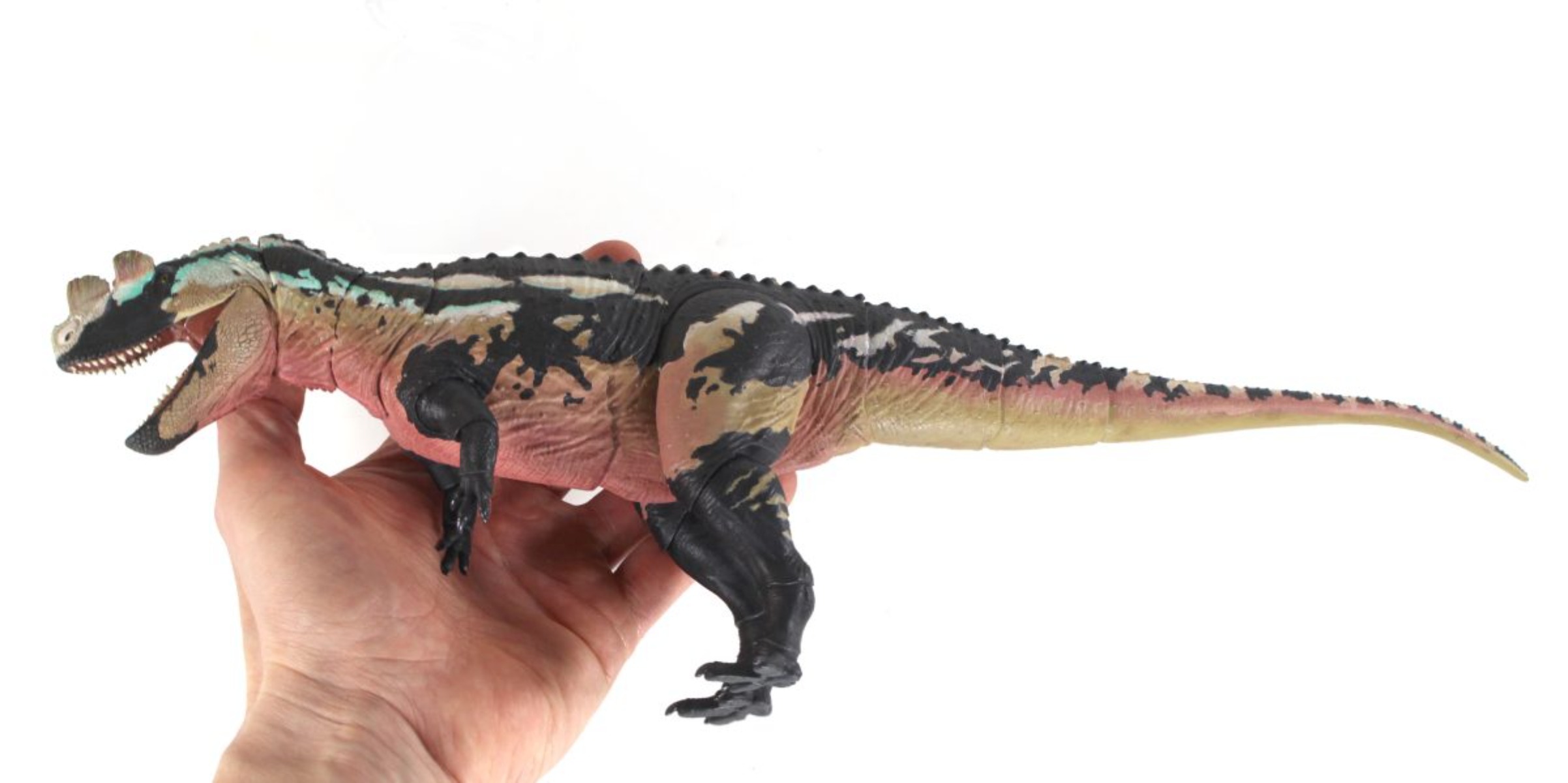 Mesozoik Canavarları Stüdyosu  - Model Kit Hemoxian incelemesi ve fiyatı